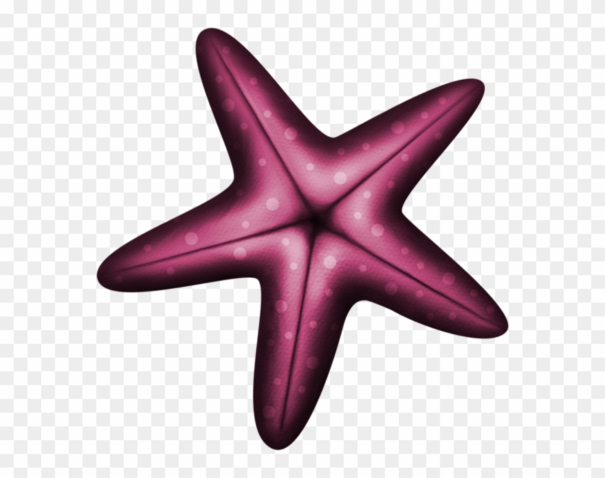 Starfish, Clip Art, Illustrations, Pictures - Png Download