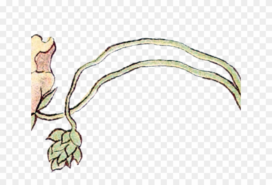 Best X Art Nouveau Flowers Art Deco Flower Clipart - Flower Art Nouveau Png Transparent Png