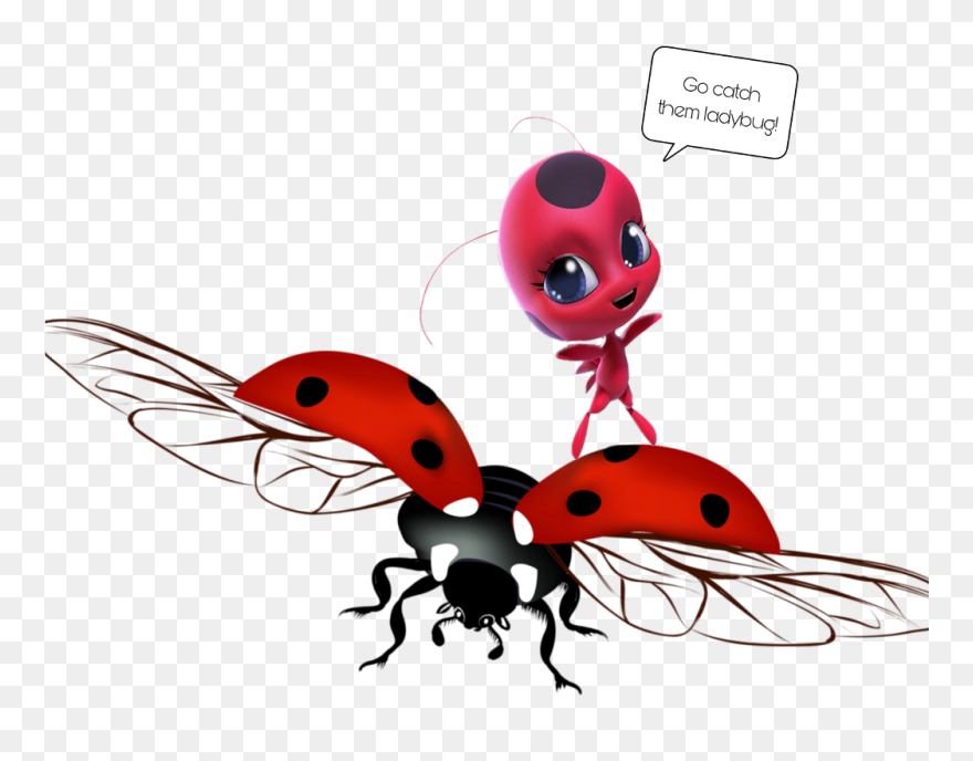 #freetodraw #like #ladybug #ladybugs #comedy #stickers Clipart