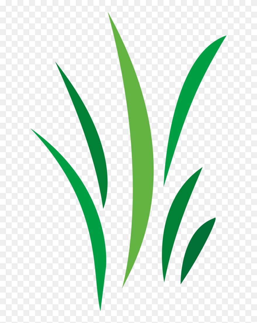 Free Cool Vector Designs Png - Blade Of Grass Illustration Clipart