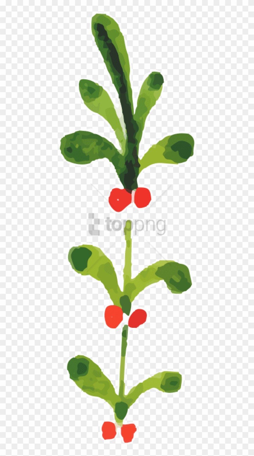 Free Png Watercolor Christmas Flowers Png Image With - Christmas Watercolor Clipart Transparent Background