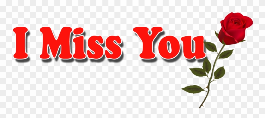 Desktop Wallpaper Garden Roses Typography Font - S Name Photo Hd Clipart