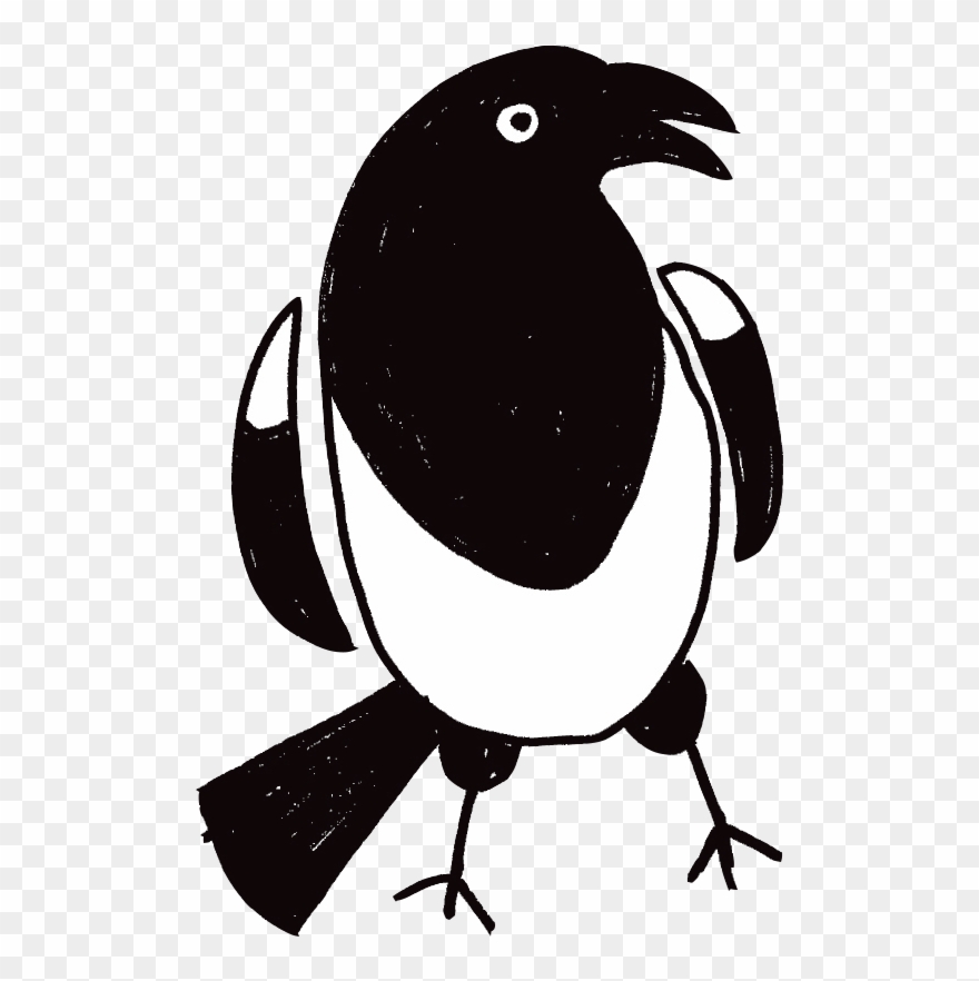 Talk For Writing Magpie Clipart