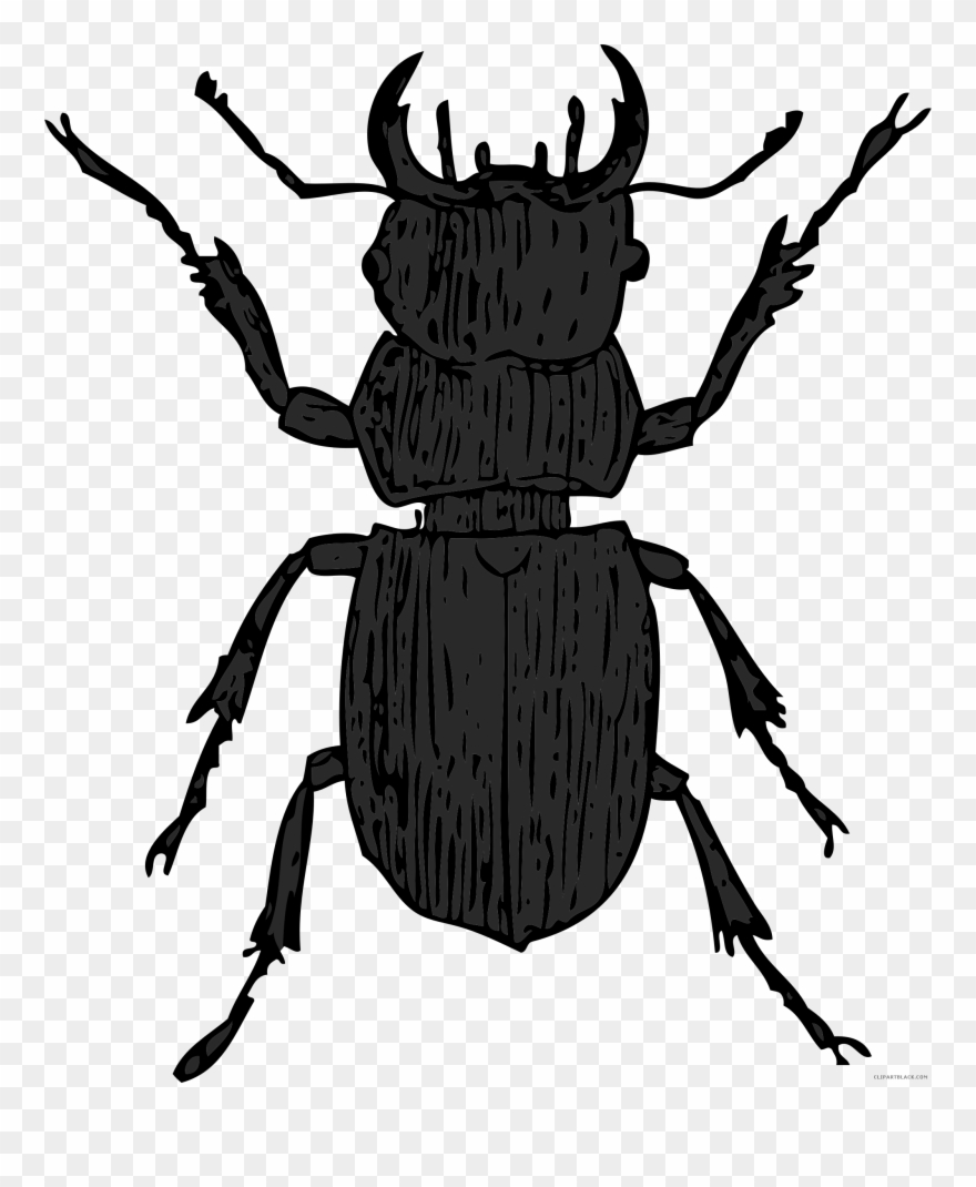 Beetle Clipart - Stag Beetle Clip Art - Png Download