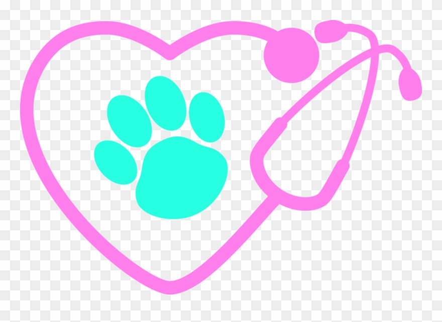 Paw Clipart Stethoscope - Png Download