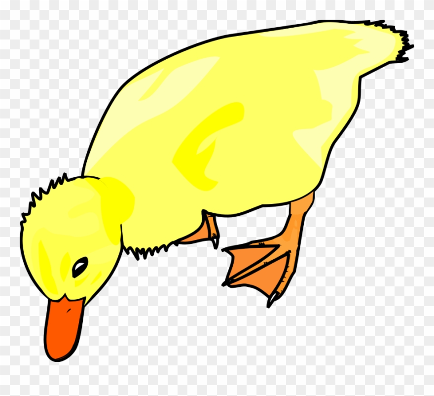 How To Set Use Bird 33 Icon Png - Illustration Clipart