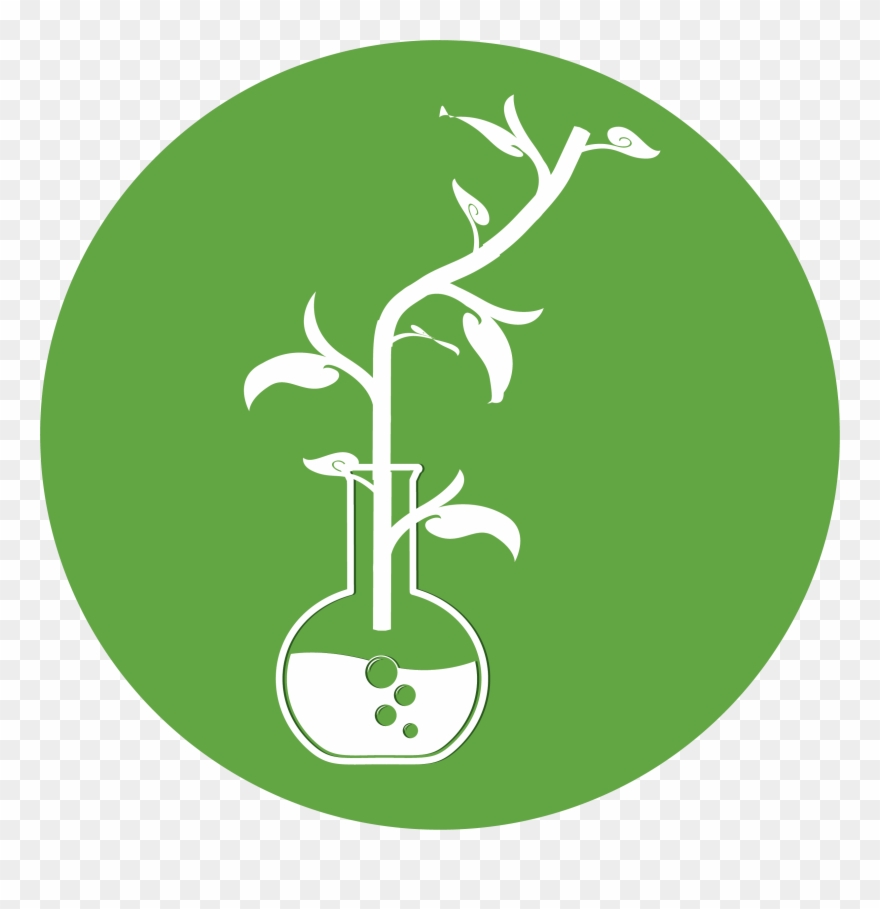 Why It Works - Illustration Clipart