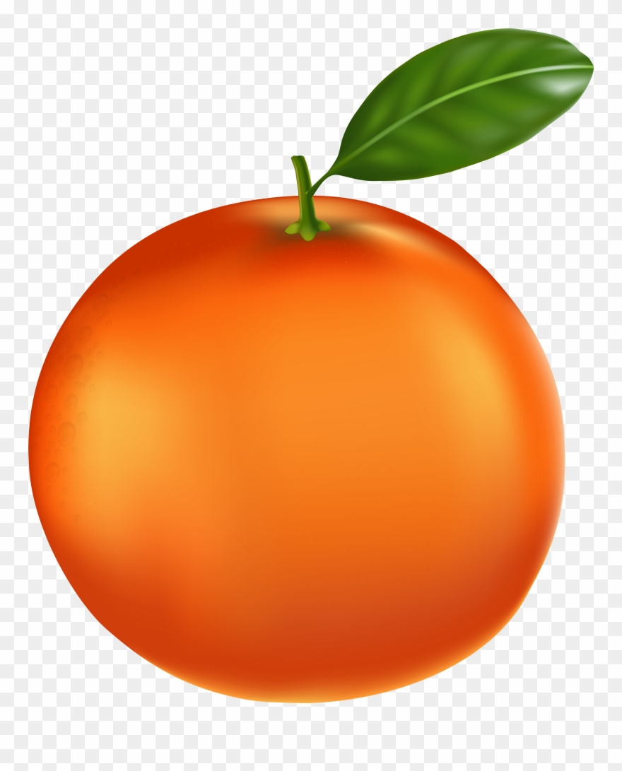 Png Clip Art Gallery Yopriceville High Quality Transparent Png