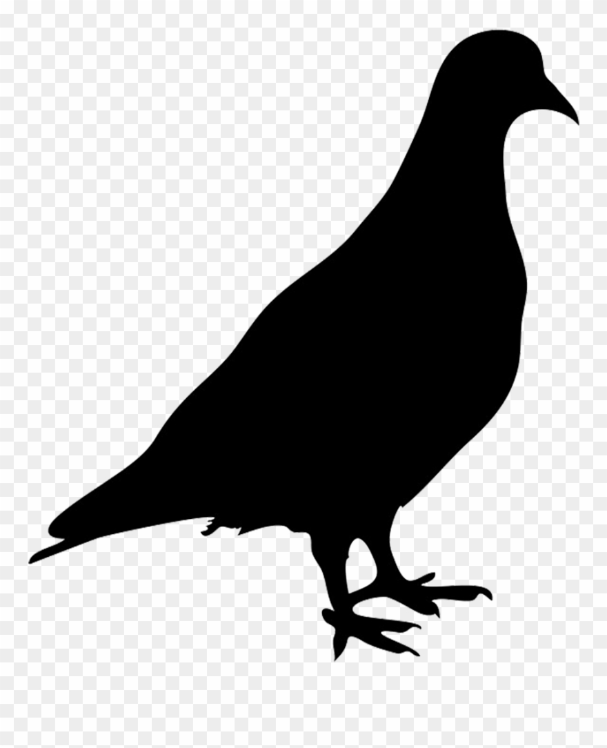 Picture Library Library Pigeon Clipart Silhouette - Silhouette Of Pigeon - Png Download