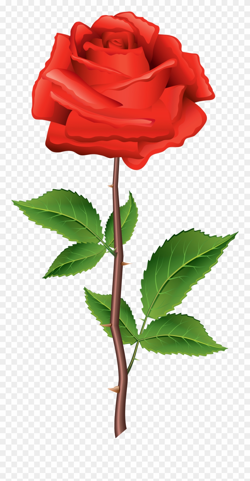 Beautiful Clipart Rose Flower - Carhartt Wip X Perks And Mini Radio Club La Tee - Png Download