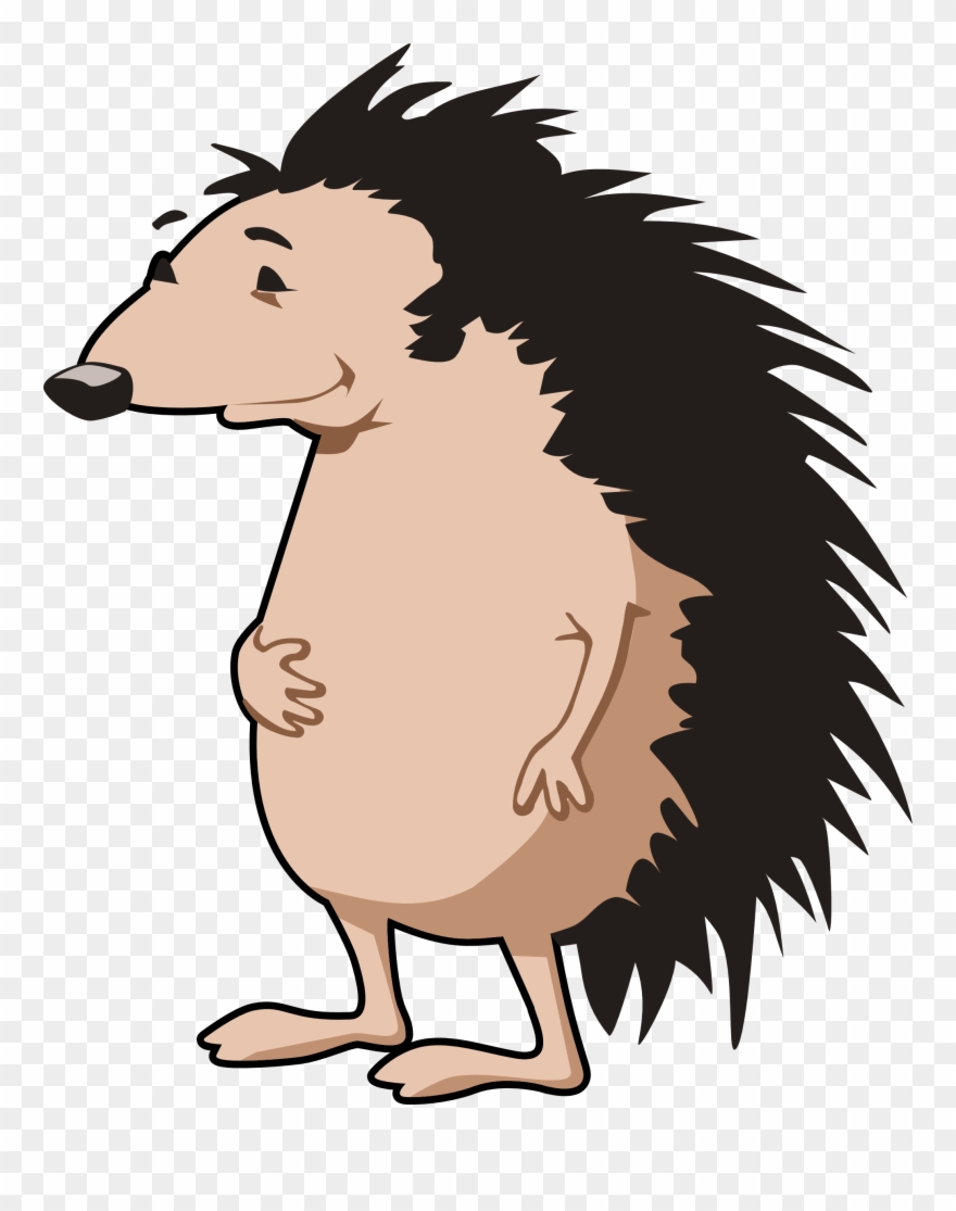 Porcupine Clip Art Free - Chanson Du Hérisson Paroles - Png Download