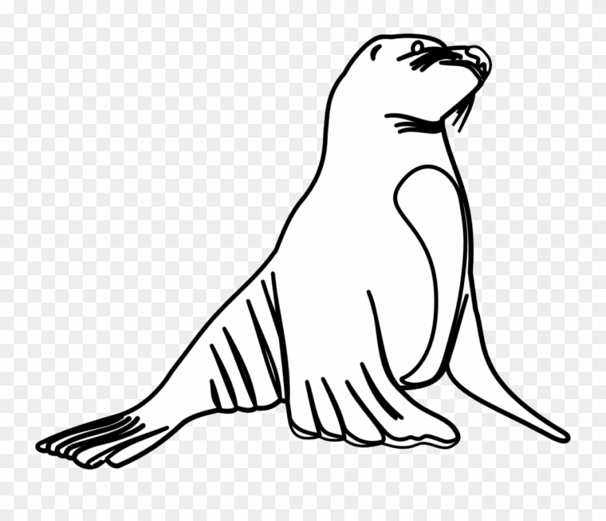 Cartoon Of An Outlined Cute Sea Lion Royalty Free Vector - Sea Lion White And Black Clipart
