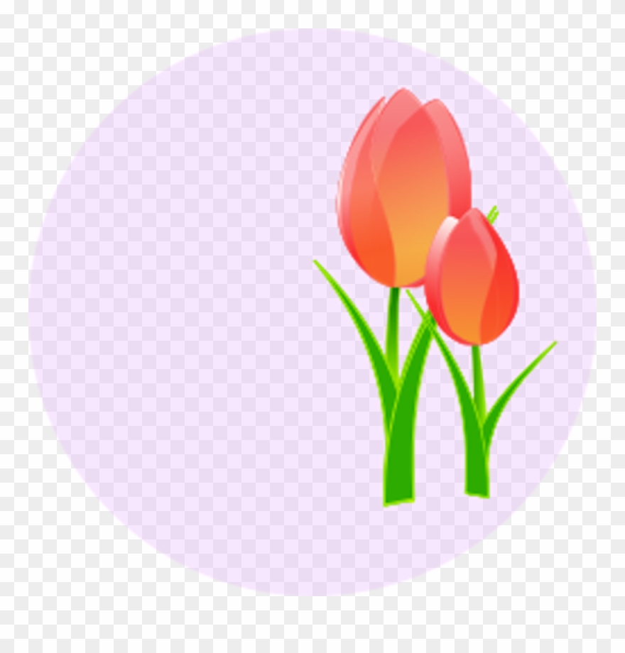 Tulips - Tulips Clip Art - Png Download