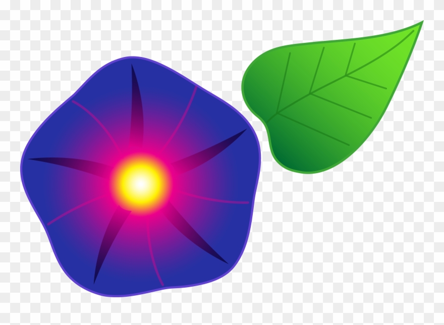 Morning Glory Flower - Morning Glory Cartoon Flower Clipart