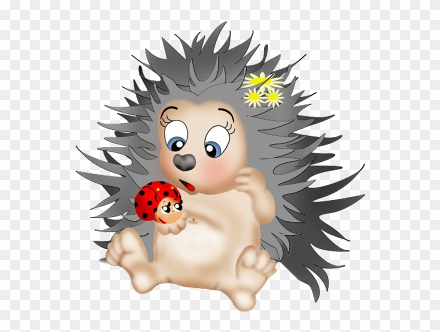 Clipart Fall Hedgehog - Free Clipart Cute Hedgehog - Png Download