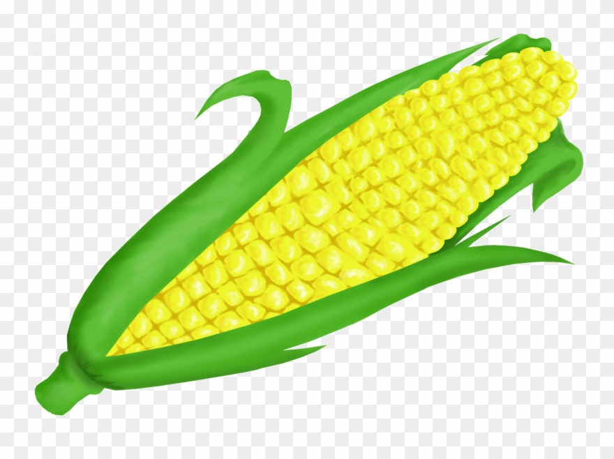 Fall Corn Cliparts - Corn On The Cob Clipart - Png Download