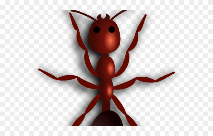 Drawn Ant Fire Ant - Ant Clip Art - Png Download