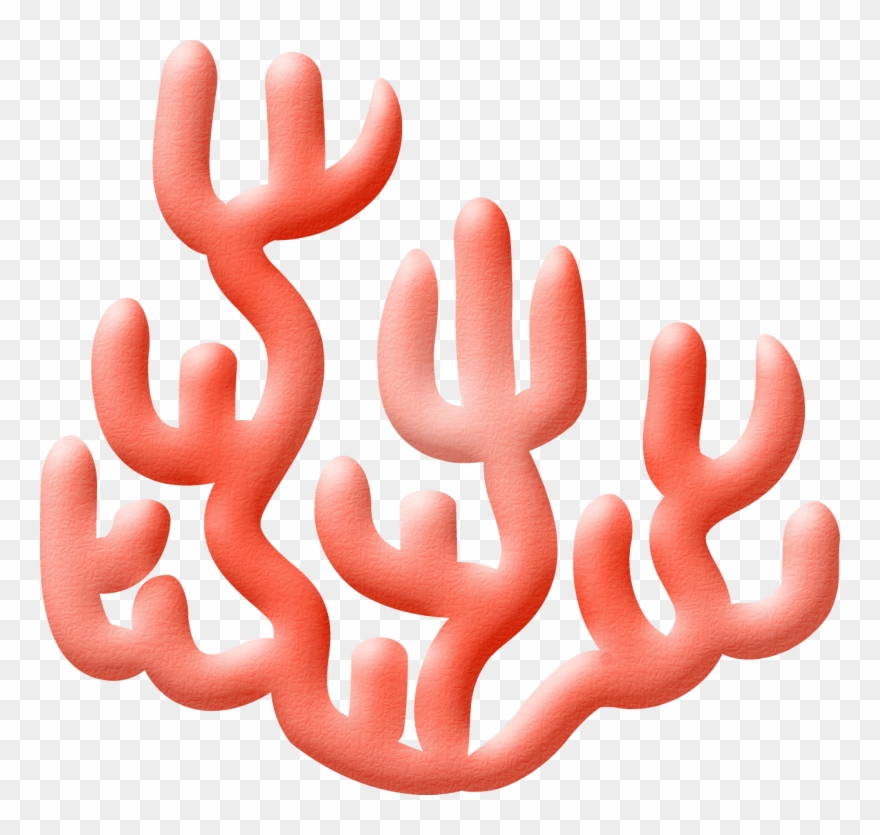 ○•‿✿⁀ocean Safari‿✿⁀•○ Beach Clipart, Ocean - Clip Art - Png Download