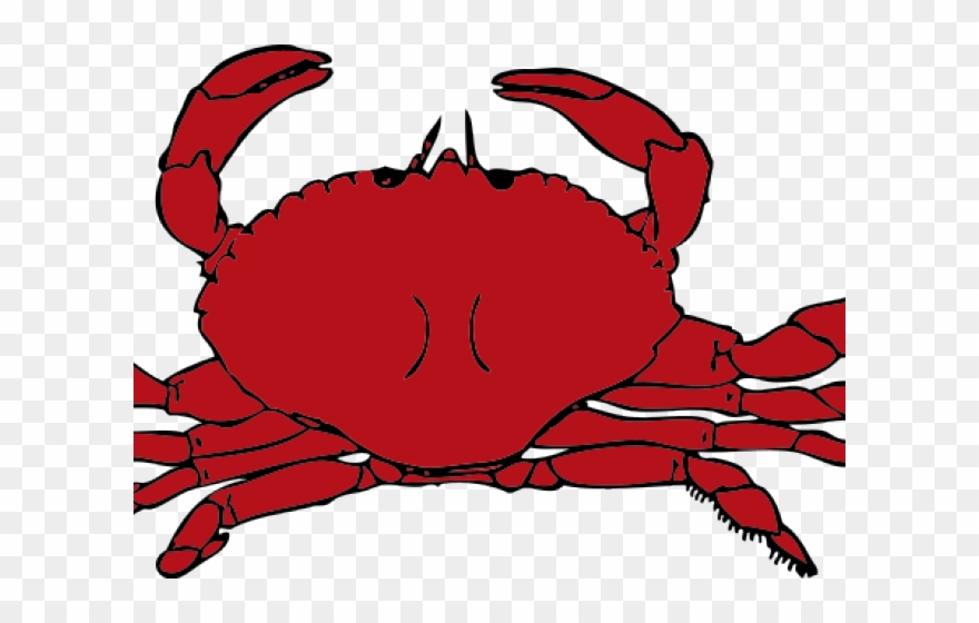 Sea Life Clipart Different Animal - Crab Clipart - Png Download