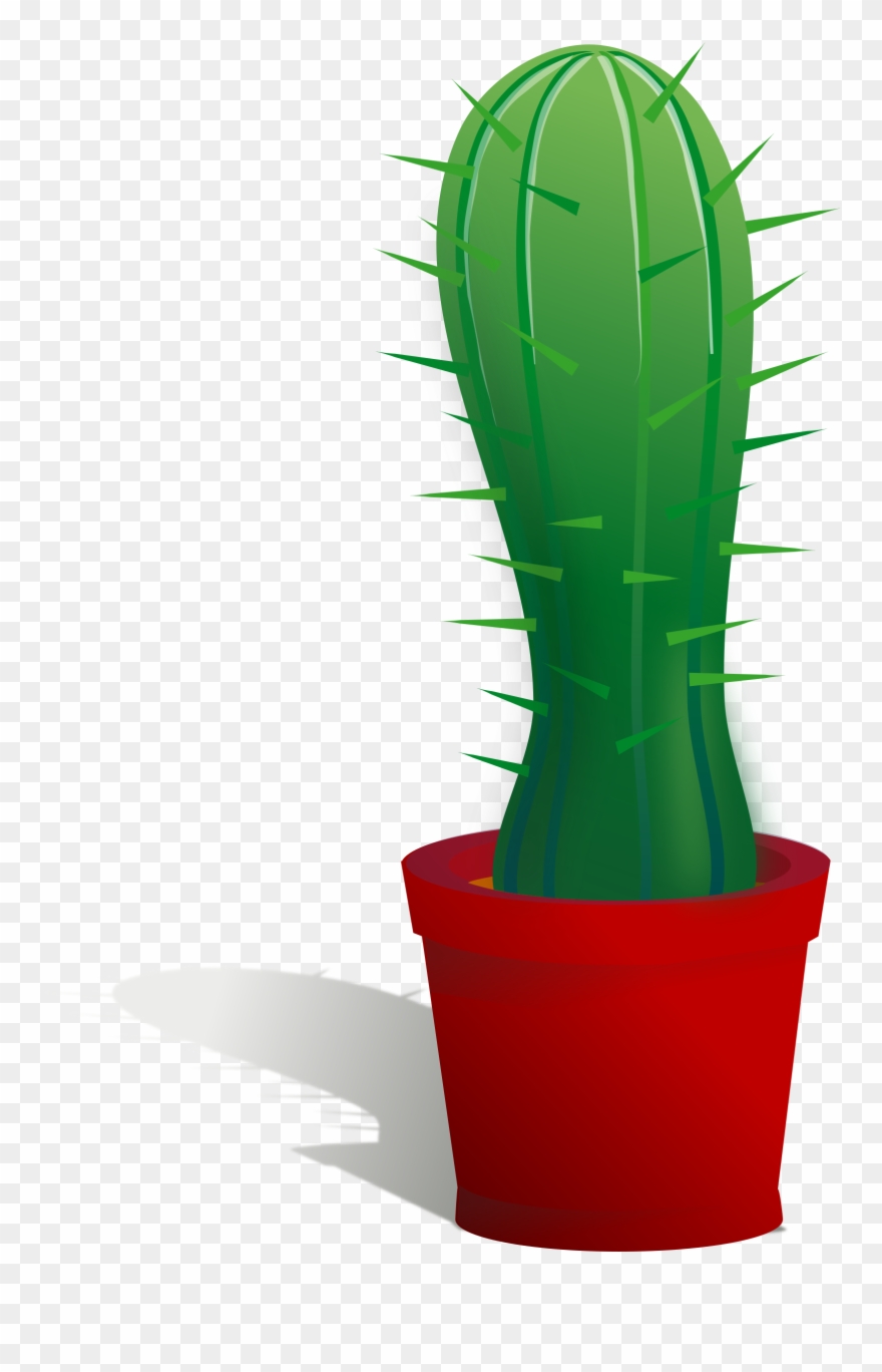 Cactus Illustration Svg Clipart
