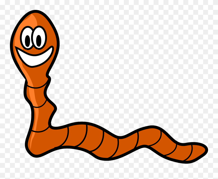 Worm Clip Art - Png Download