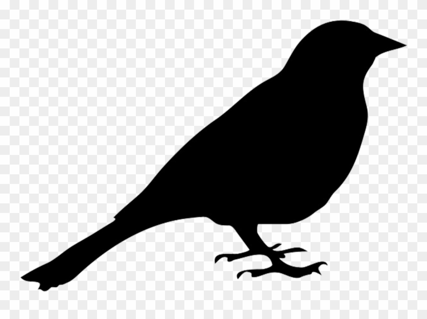 Bird - Pigeon Silhouette Clipart - Png Download