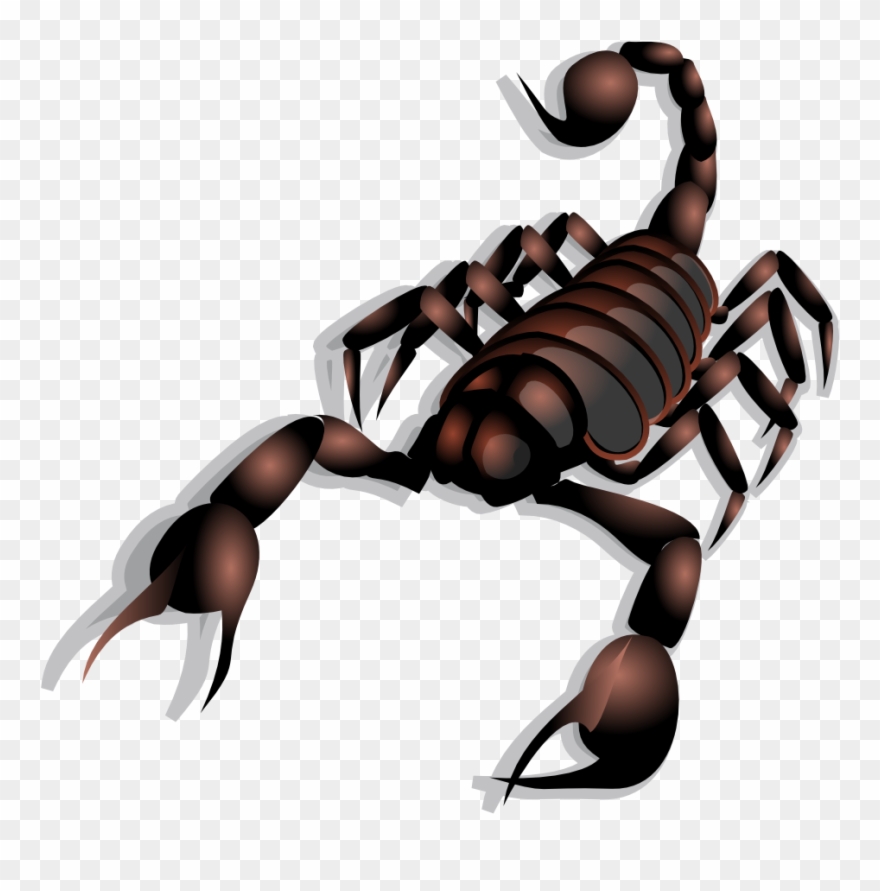 Scorpion Clip Art - Png Download