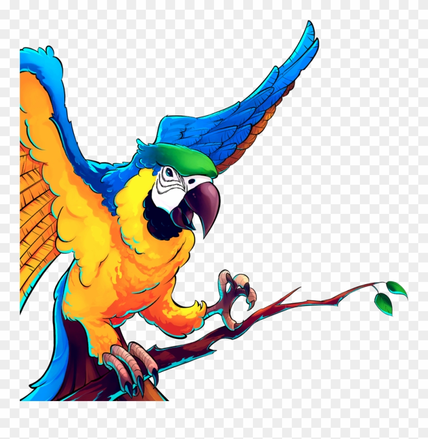 Artwork - - Macaw Clipart