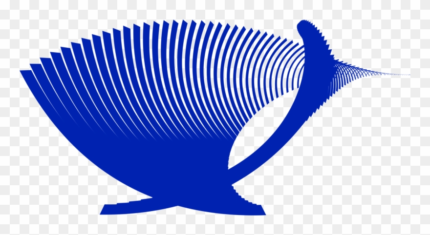 Marine Biology Line Fish - Architecture Clipart