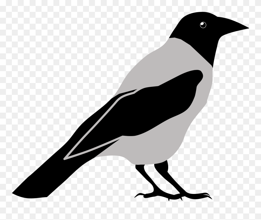 Crow Clipart, Birds And Crow Clip Art Photo, - Clipart Crow - Png Download