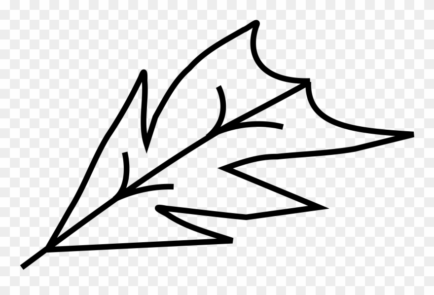 Contorno De La Hoja Clipart