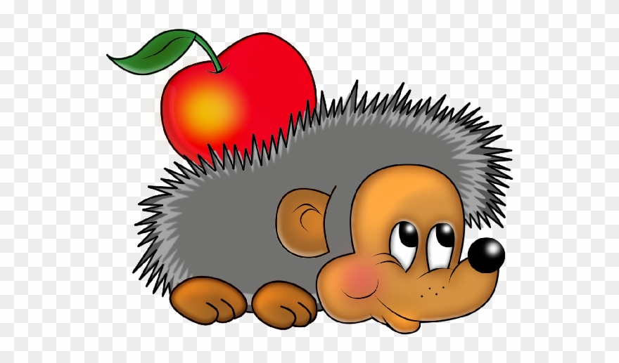 Funny Hedgehog Images Clipart - Clipart Hedgehog - Png Download