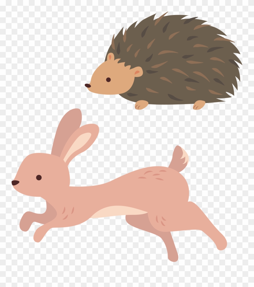 Domestic Hedgehog Clip Art - Erizo Y El Conejo - Png Download