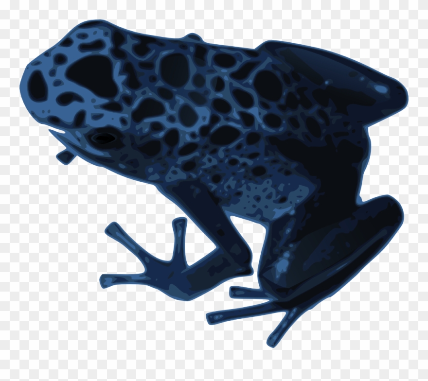 Amphibian Clip Art Download - Blue Poison Dart Frog - Png Download