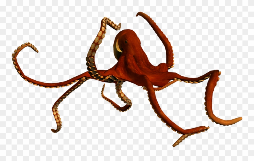 Free - Seaworld Png Clipart