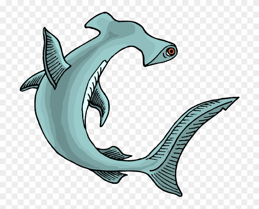 Shark Clipart Favorite Sites Sharks Shark - Great Hammerhead Shark Clipart - Png Download