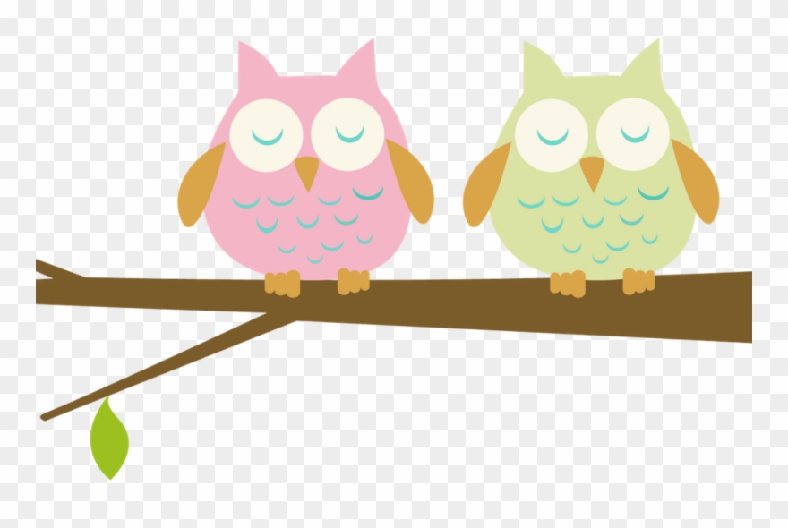 10 Things I Wish Someone Would Have Told Me About Teaching - Owls On A Branch Clip Art - Png Download