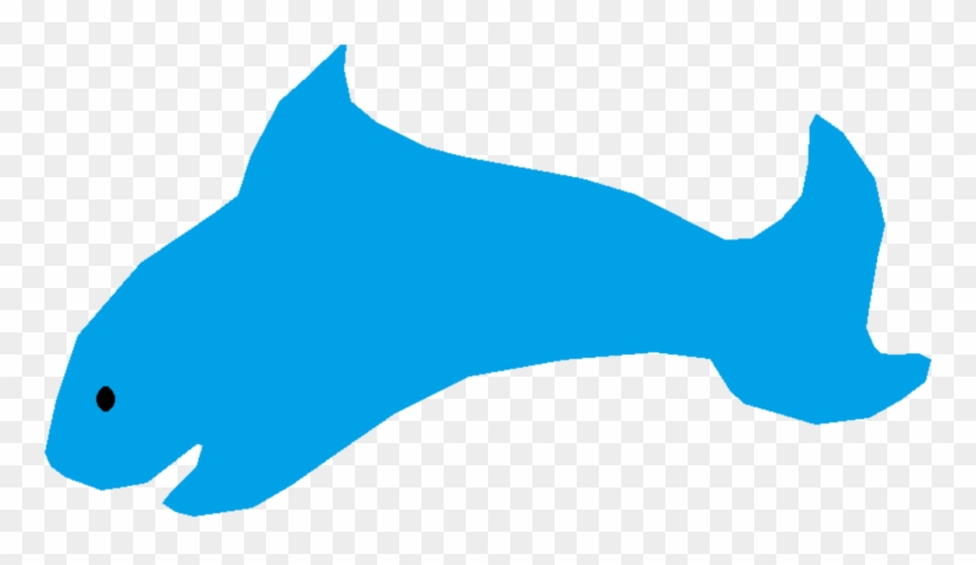 Dolphin Shark Porpoise Marine Biology Fauna - Clip Art - Png Download