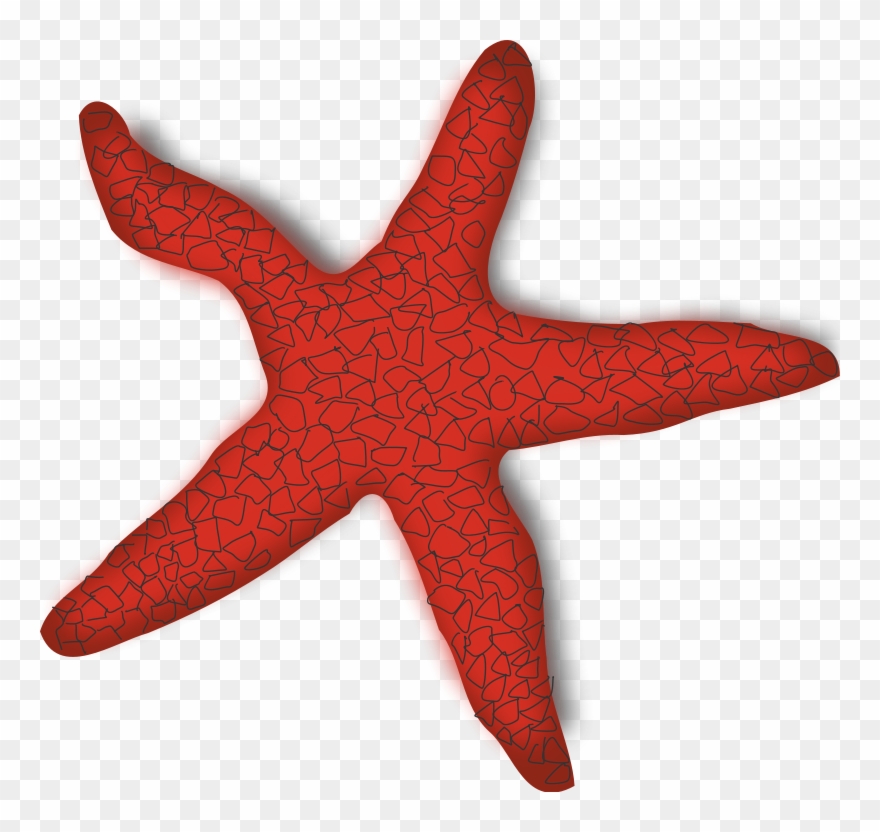 Starfish Clip Art Download - Red Starfish Clipart - Png Download