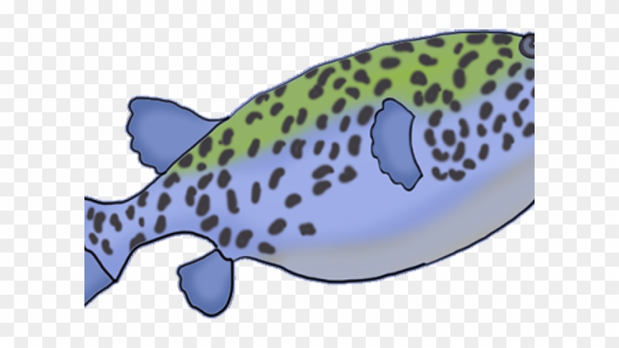 Spotty Fishes Clipart - Png Download