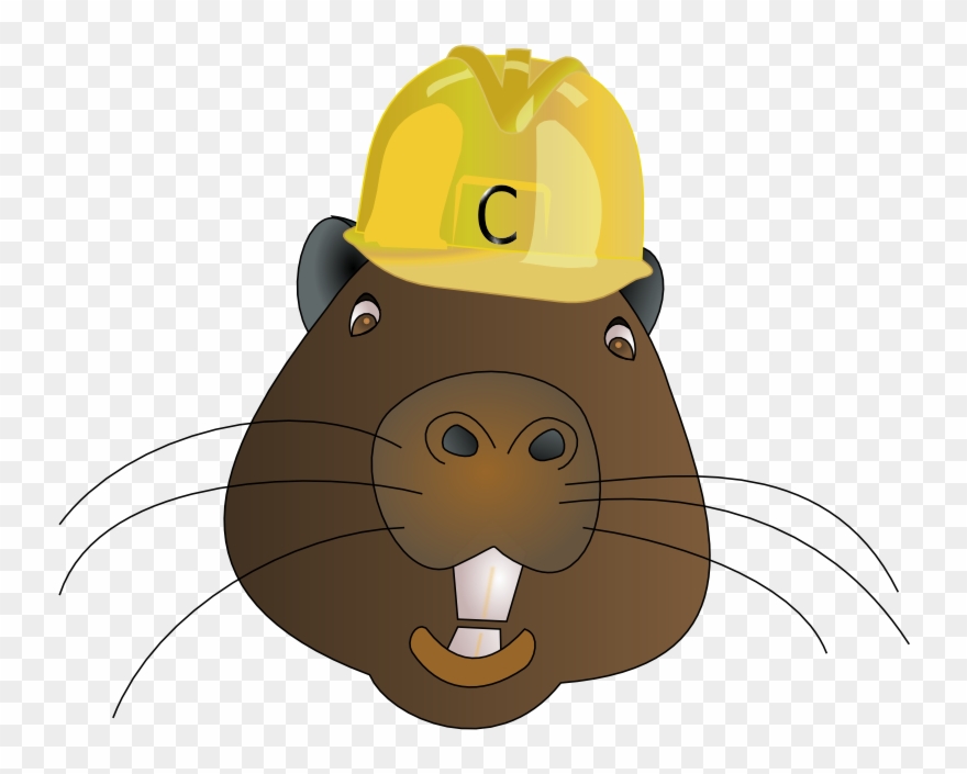Free Beaver Wearing A Hard Hat Clip Art - Beaver With A Hard Hat - Png Download