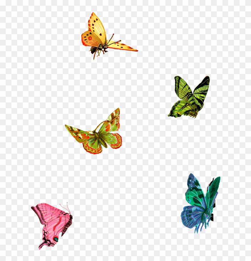 Paisley Designs - Little Butterflies Png Clipart