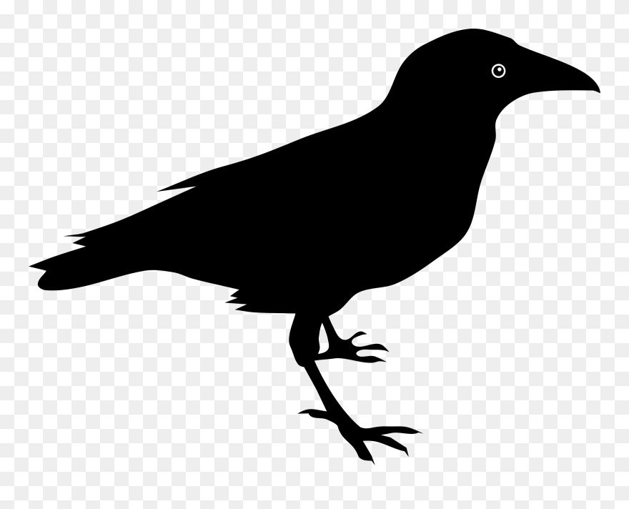 Raven - Raven Clipart - Png Download