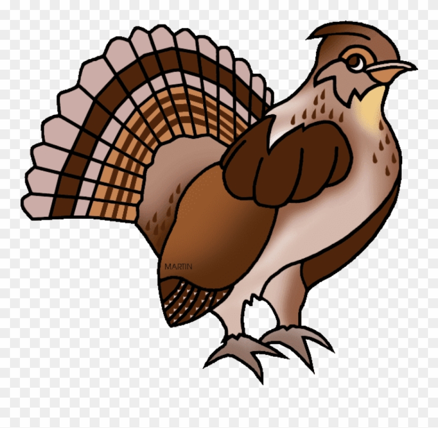 Pennsylvania State Bird Ruffed Grouse Clipart