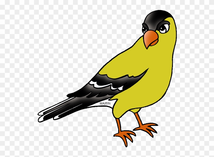 New Jersey State Bird - Washington State Bird Cartoon Clipart