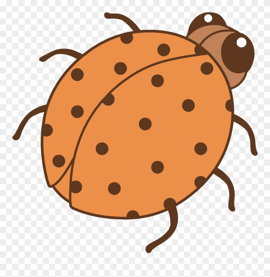 Cute Orange Ladybug Clip Art - Clip Art Color Orange Objects - Png Download