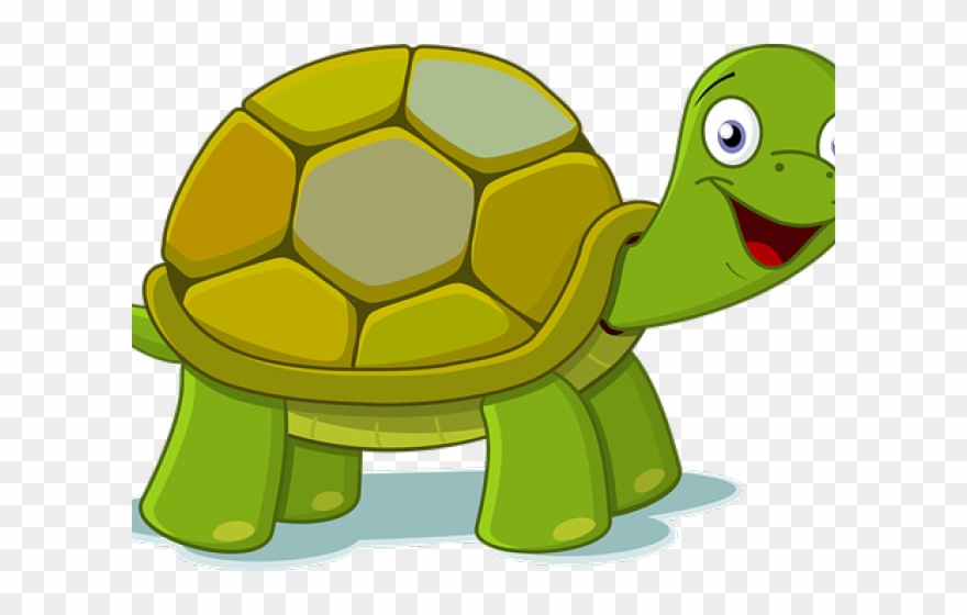Cartoon Pictures Of Turtles - Transparent Background Turtle Clipart Png