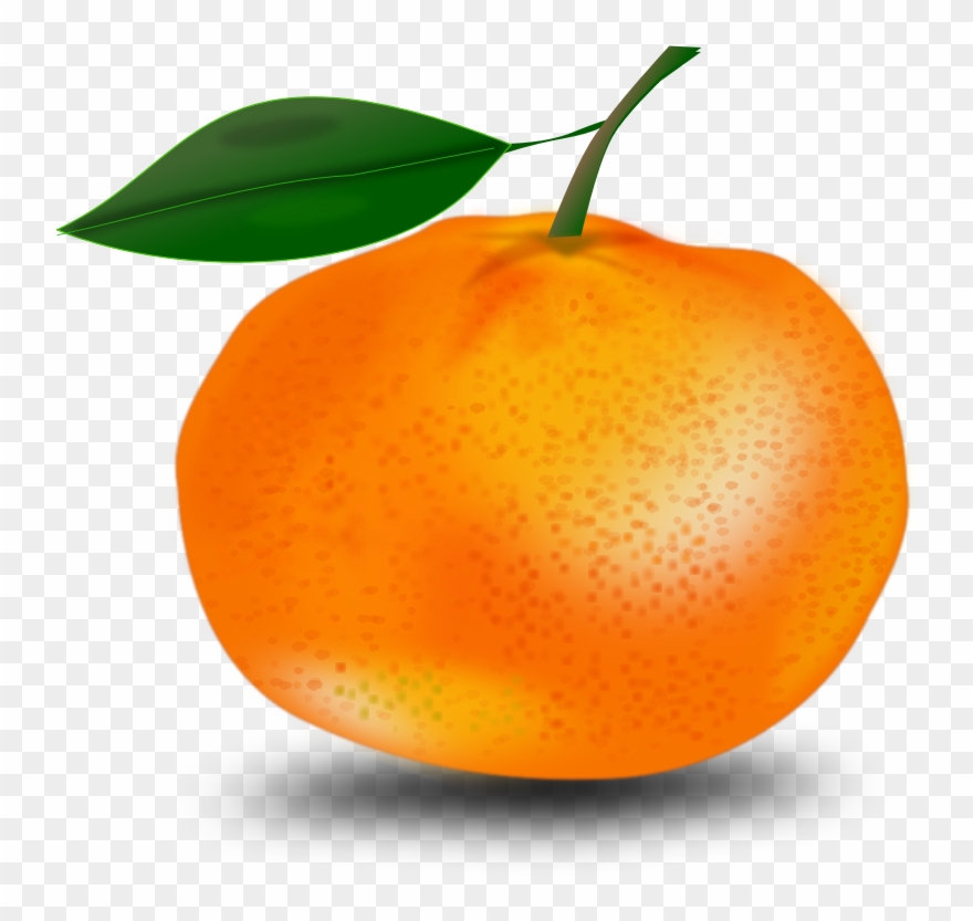 Pix For Clip Art Orange - Orange With A Leaf - Png Download