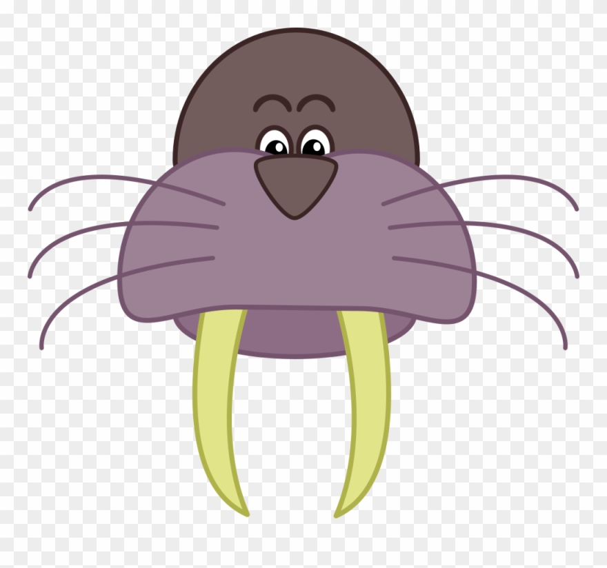 Walrus Free To Use Clipart - Cartoon Walrus Head - Png Download