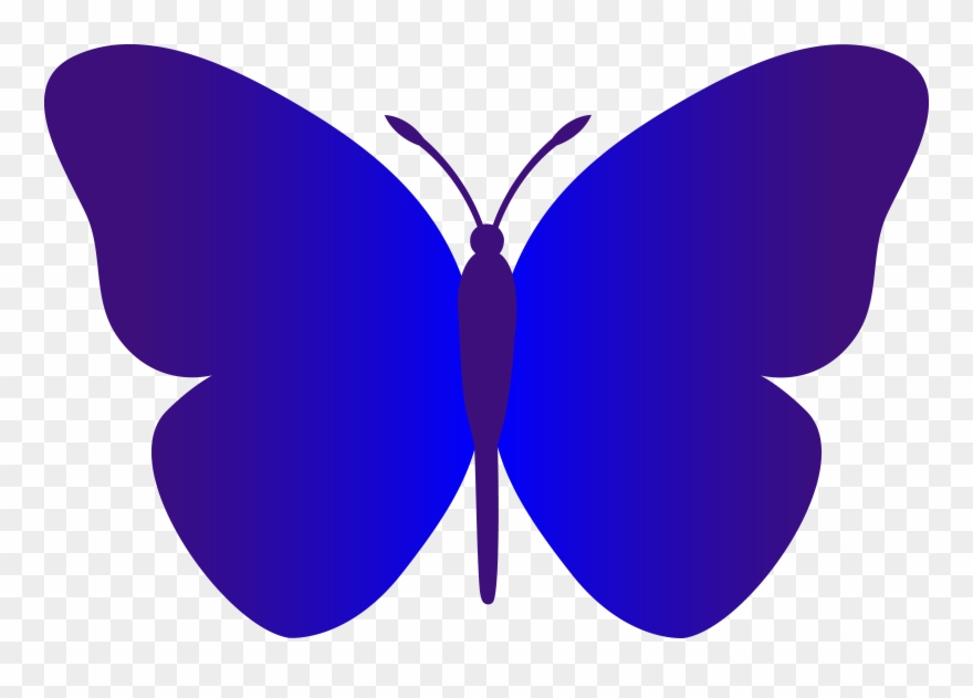 Blue Butterfly Graphic Clipart - Blue Butterfly Clip Art - Png Download